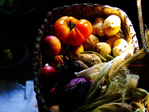 harvest basket